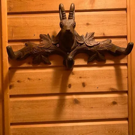 Chalet Chalet Altiport Alpe D’huez *